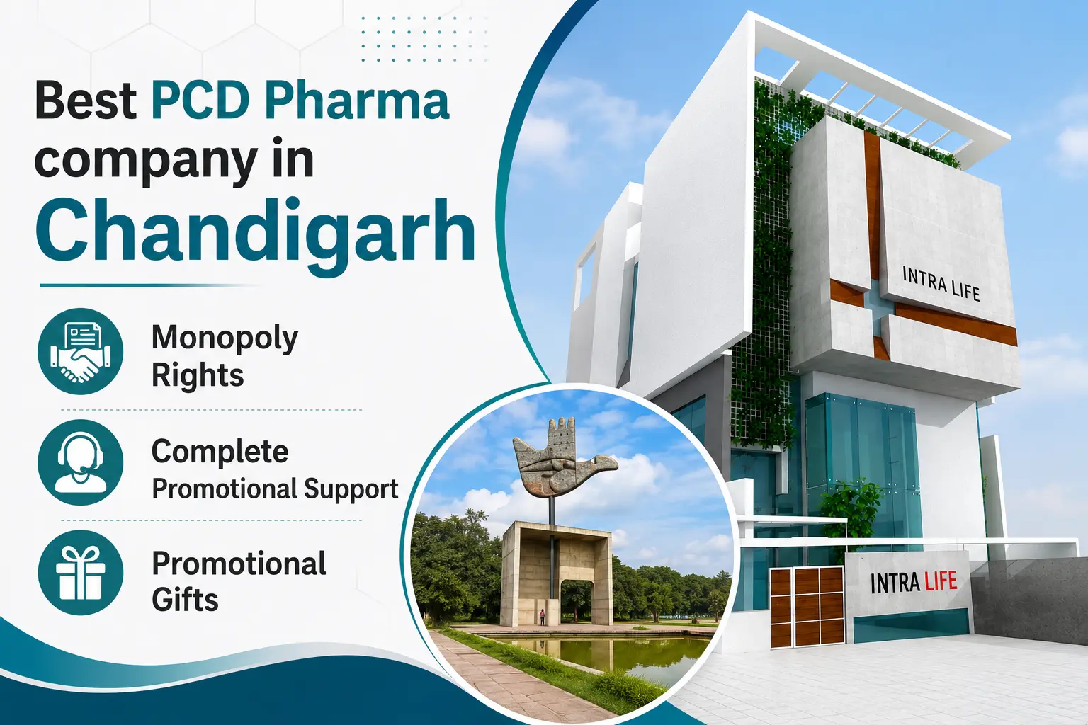 How to Choose the Right PCD Pharma Company in Chandigarh